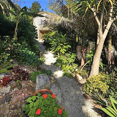 La Maisonette - Stay Waiheke Onetangi Екстер'єр фото